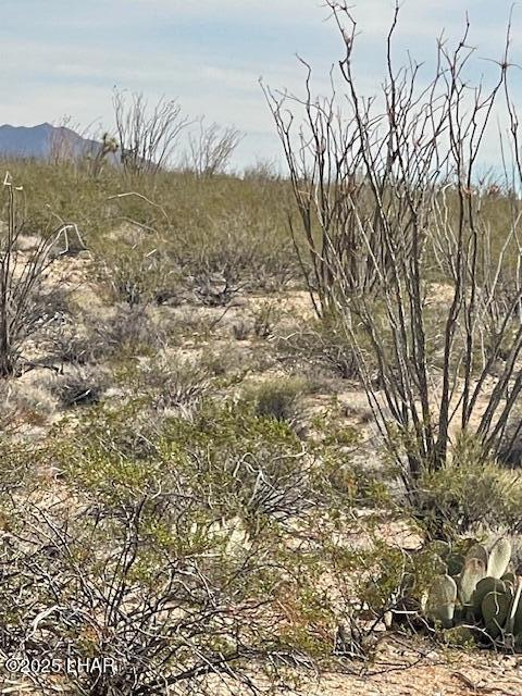 3048 South C S Ray Road Yucca, AZ 86438 - Photo 11 of 11 IMG_2059