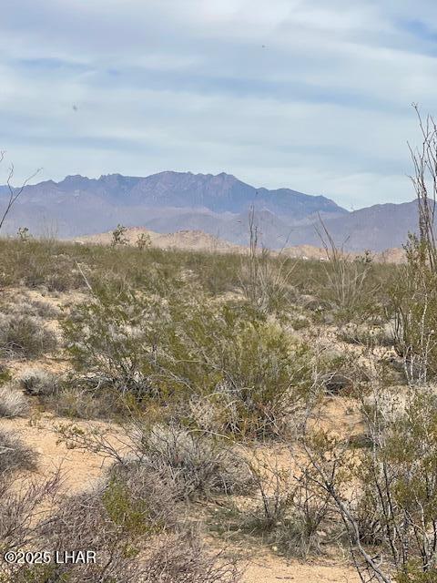 3048 South C S Ray Road Yucca, AZ 86438 - Photo 3 of 11 IMG_2045