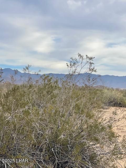 3048 South C S Ray Road Yucca, AZ 86438 - Photo 4 of 11 IMG_2047