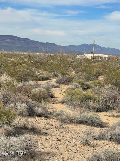 3048 South C S Ray Road Yucca, AZ 86438 - Photo 5 of 11 IMG_2048