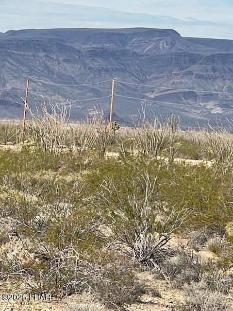 3048 South C S Ray Road Yucca, AZ 86438 - Photo 6 of 11 IMG_2049