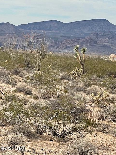 3048 South C S Ray Road Yucca, AZ 86438 - Photo 7 of 11 IMG_2050