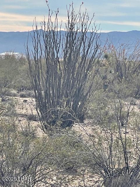 3048 South C S Ray Road Yucca, AZ 86438 - Photo 9 of 11 IMG_2055