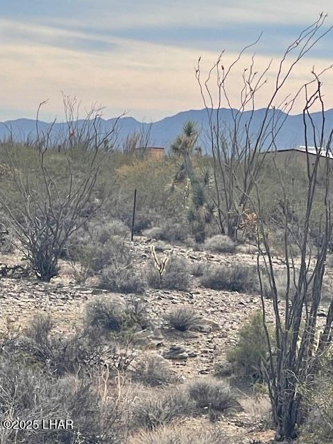 3048 South C S Ray Road Yucca, AZ 86438 - Photo 10 of 11 IMG_2056