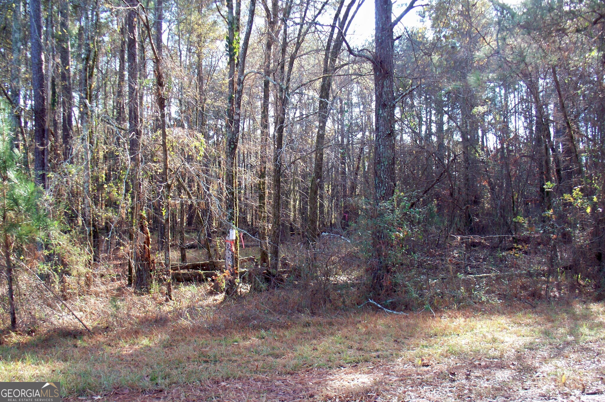 2991 Carey Station Road Greensboro, GA 30642 - Photo 11 of 14