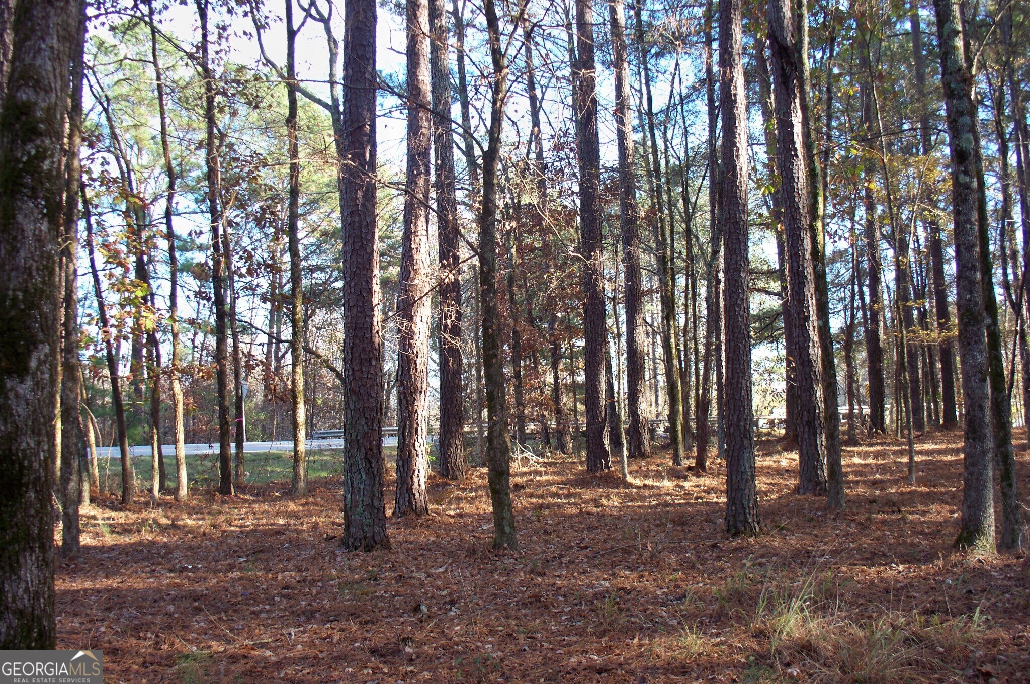 2991 Carey Station Road Greensboro, GA 30642 - Photo 2 of 14