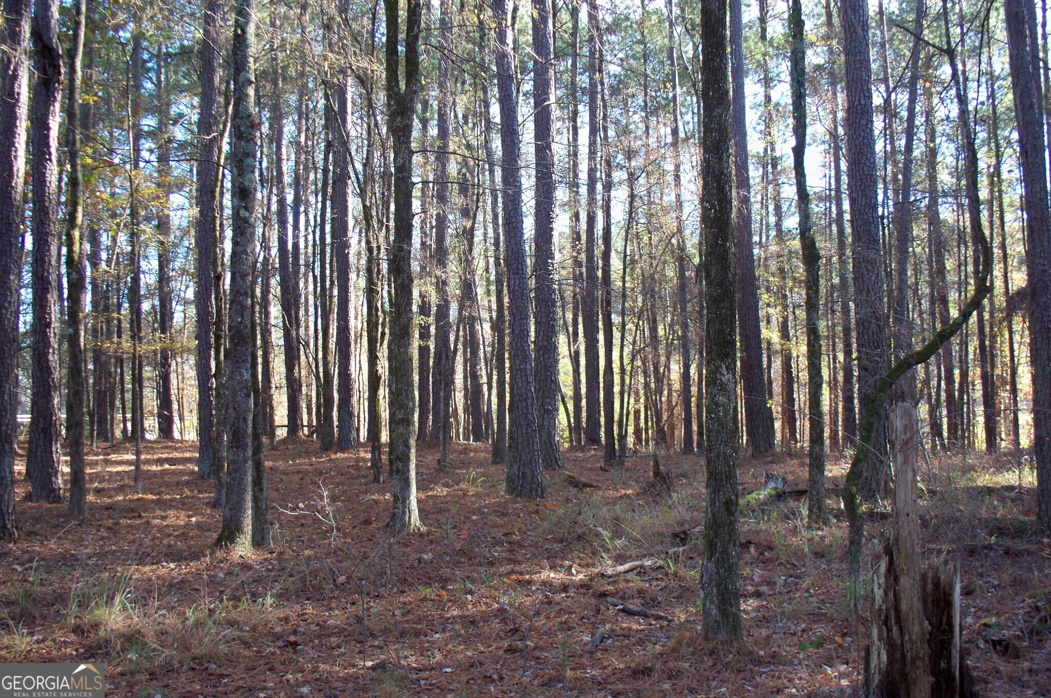 2991 Carey Station Road Greensboro, GA 30642 - Photo 3 of 14