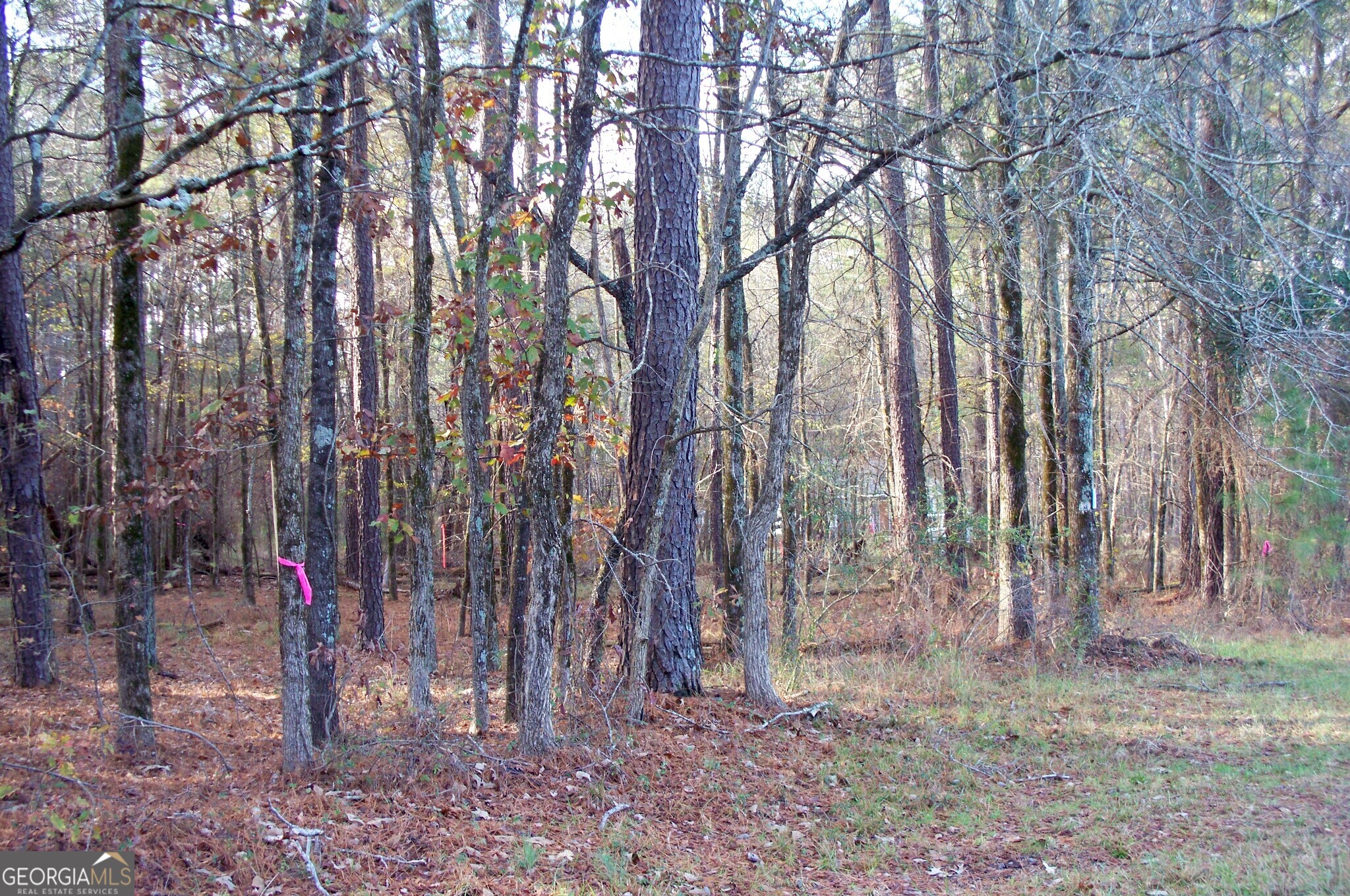 2991 Carey Station Road Greensboro, GA 30642 - Photo 4 of 14