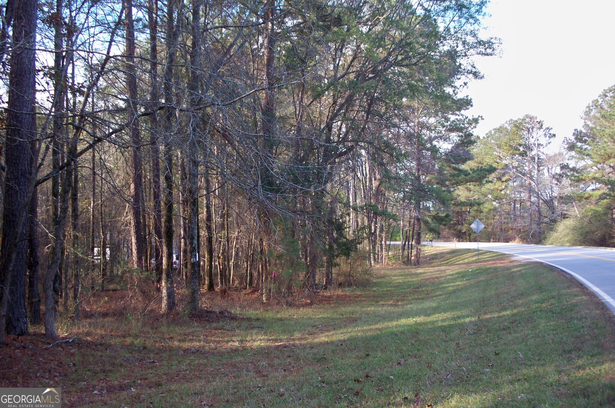 2991 Carey Station Road Greensboro, GA 30642 - Photo 6 of 14