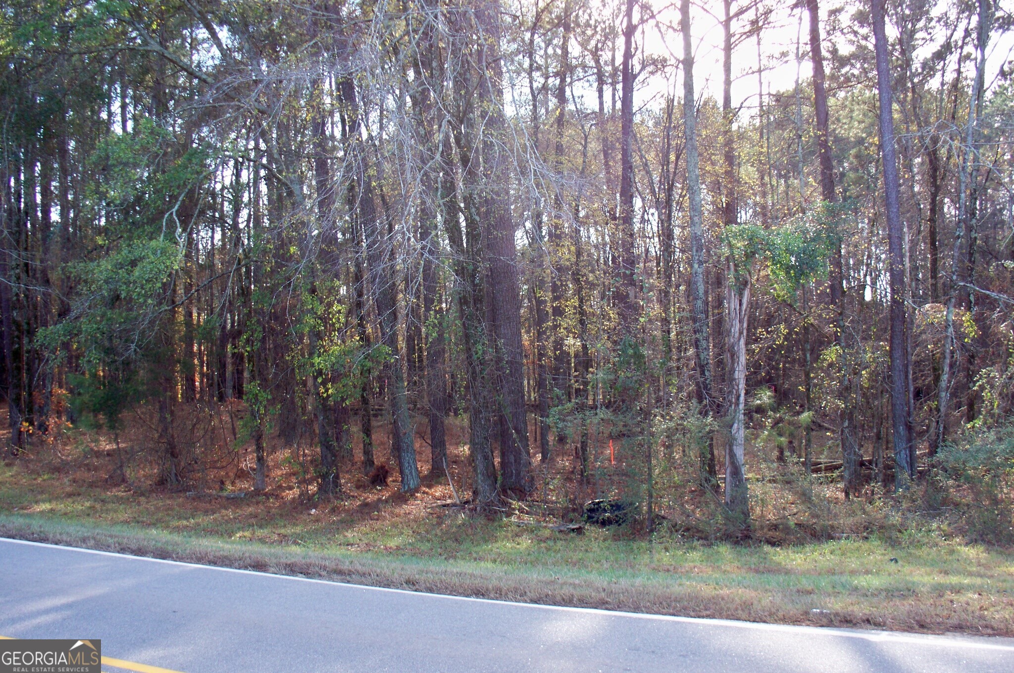 2991 Carey Station Road Greensboro, GA 30642 - Photo 8 of 14