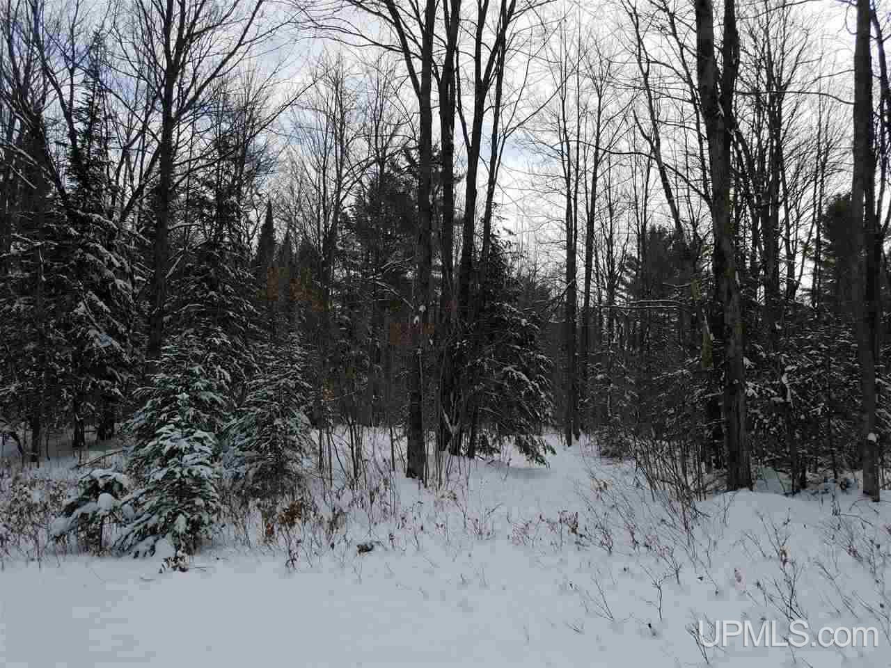 Tbd Tbd Co Road Gwinn, MI 49841 - Photo 6 of 8