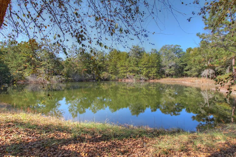 6650 Old Jacksonboro Road Ravenel, SC 29470 - Photo 4 of 38 6650 Old Jackson (3)
