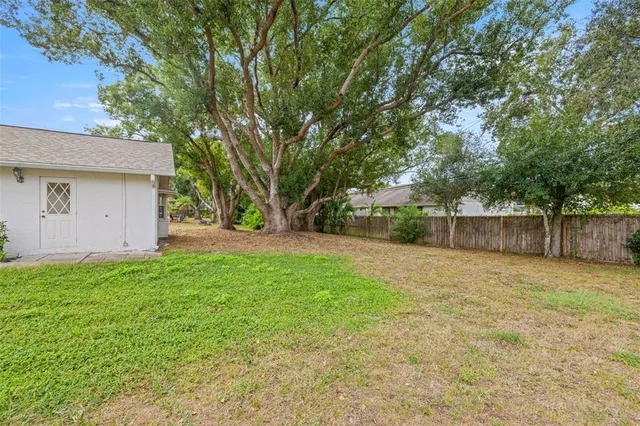 a backyard of a house with plants and large tree