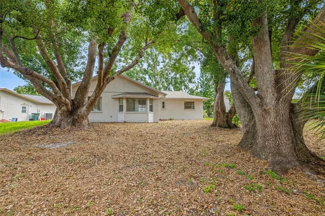 a white house that has a tree in front of it