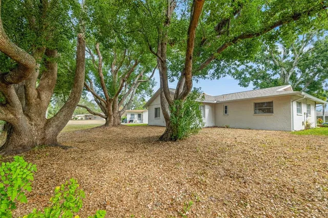 a house with trees in front of it