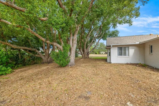 a view of a house with a tree in front of it