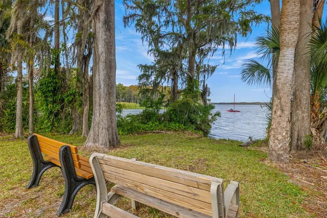 a view of a swimming pool with a yard