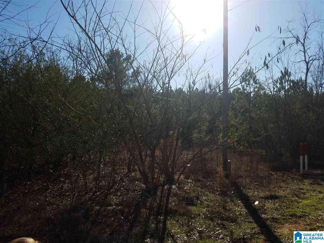 0 Cove Access Road, Unit 7 ACRES Talladega, AL 35160 - Photo 2 of 19