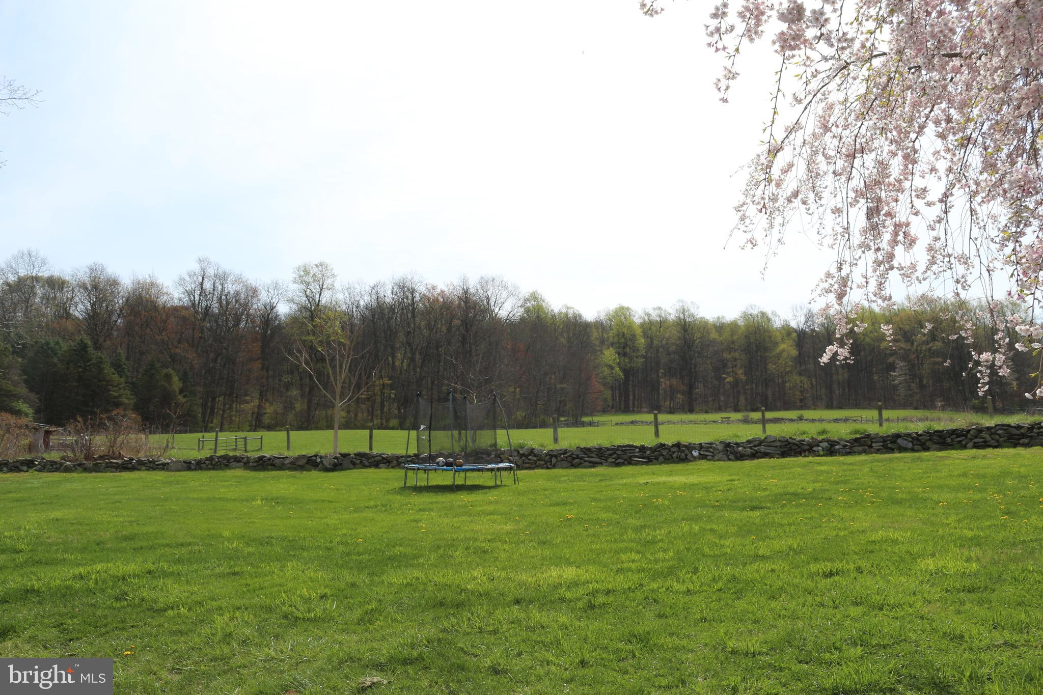 12435 Pleasant Valley Road Smithsburg, MD 21783 - Photo 22 of 78