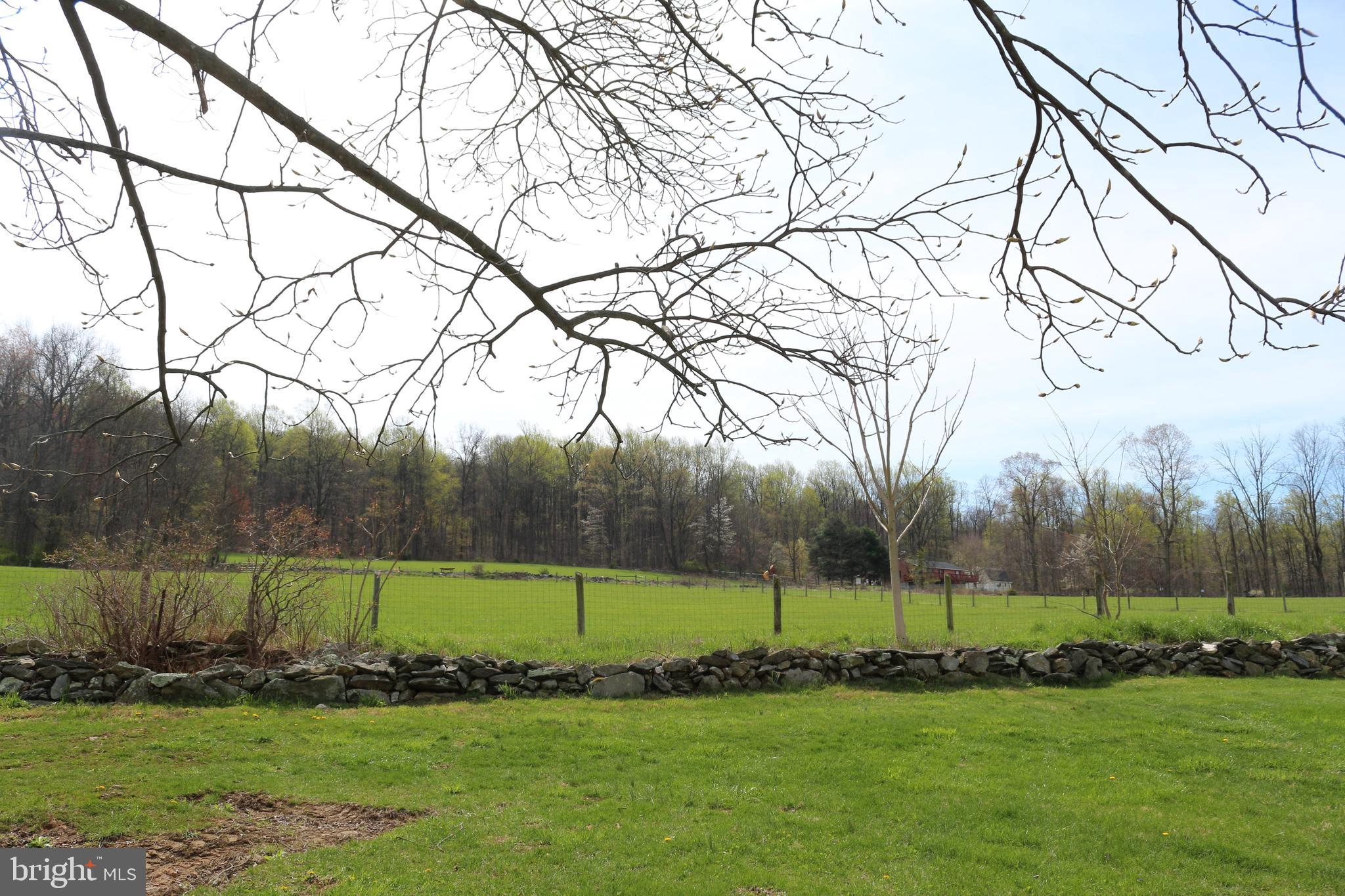 12435 Pleasant Valley Road Smithsburg, MD 21783 - Photo 26 of 78