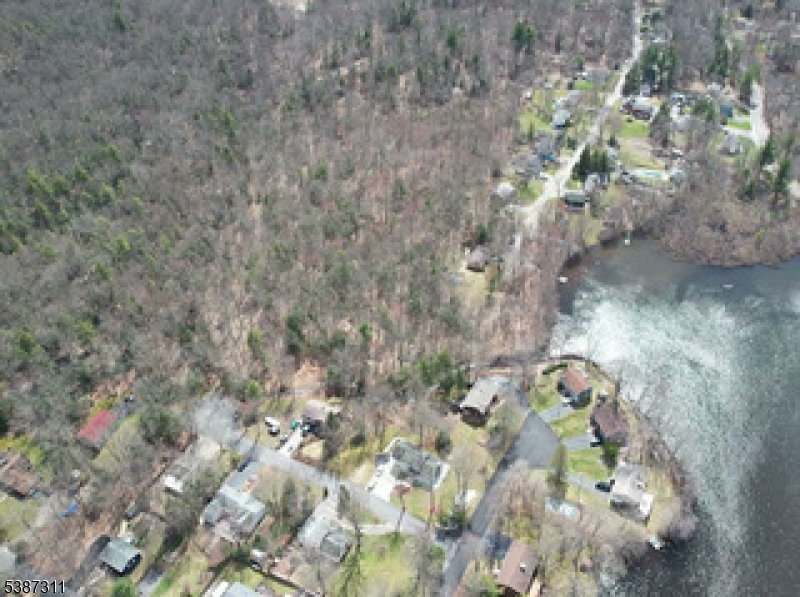 0 Brook Road West Milford, NJ 07480 - Photo 3 of 5 a close up of a tree