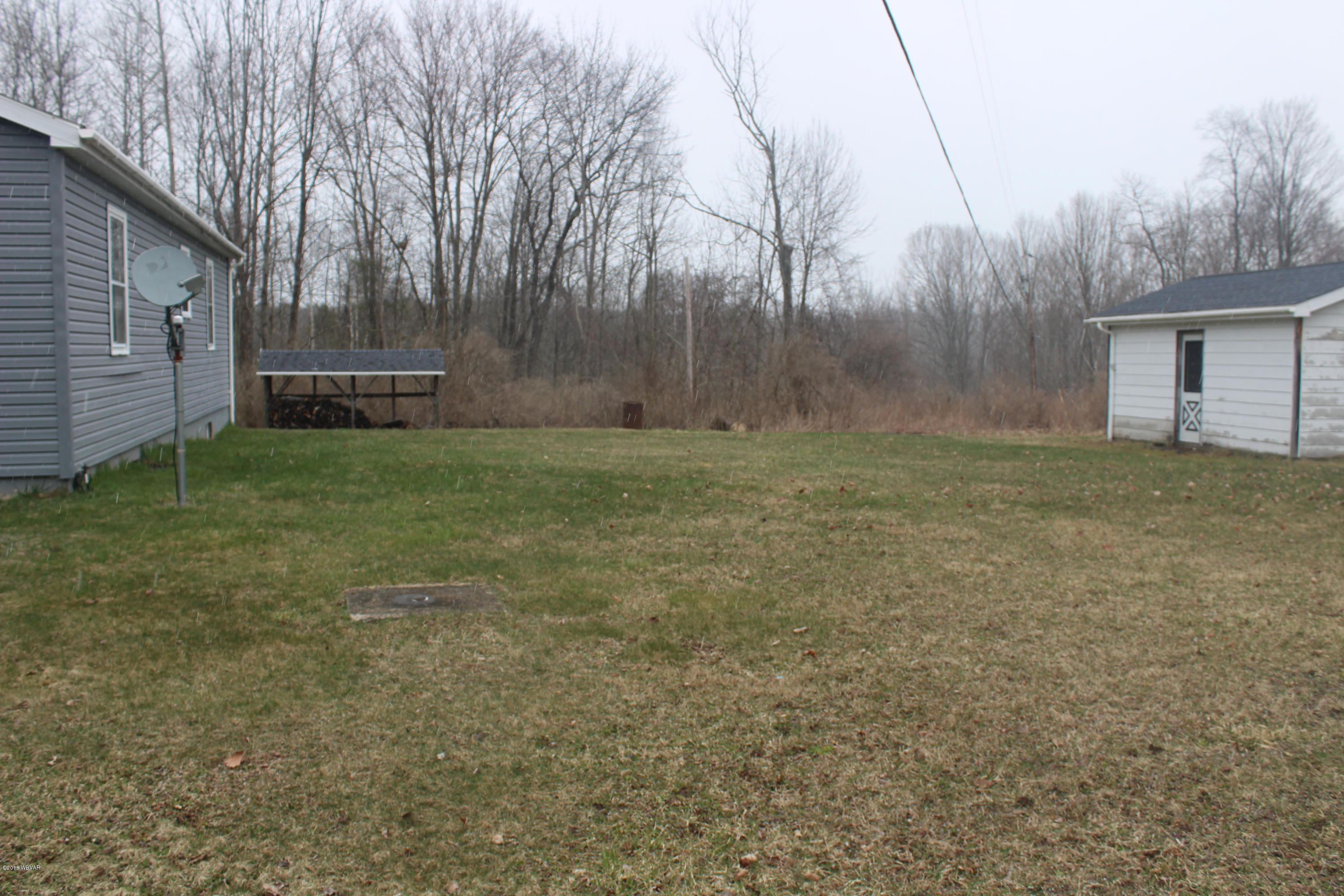 2887 Murray Run Road Trout Run, PA 17771 - Photo 24 of 32 Backyard