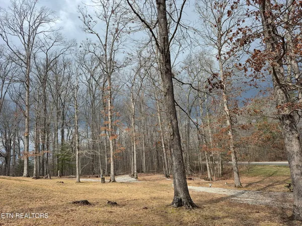 $290,000 | 911 Big Ridge Road, Oneida, TN 37841