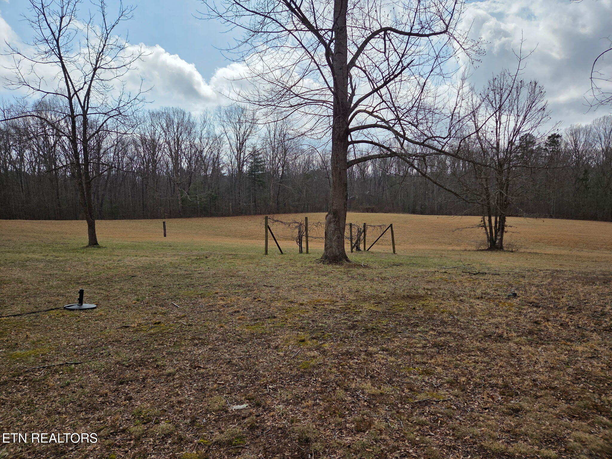 911 Big Ridge Road Oneida, TN 37841 - Photo 35 of 42 IMG_20260224_142651