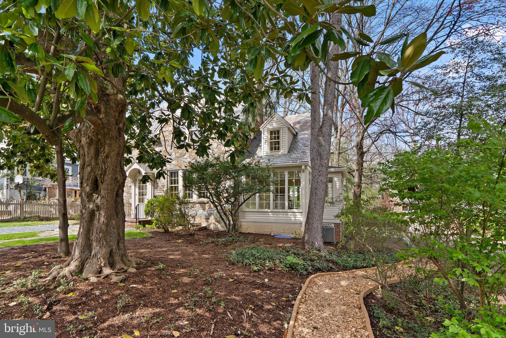 1203 Highland Drive Silver Spring, MD 20910 - Photo 5 of 59 Path that leads to backyard
