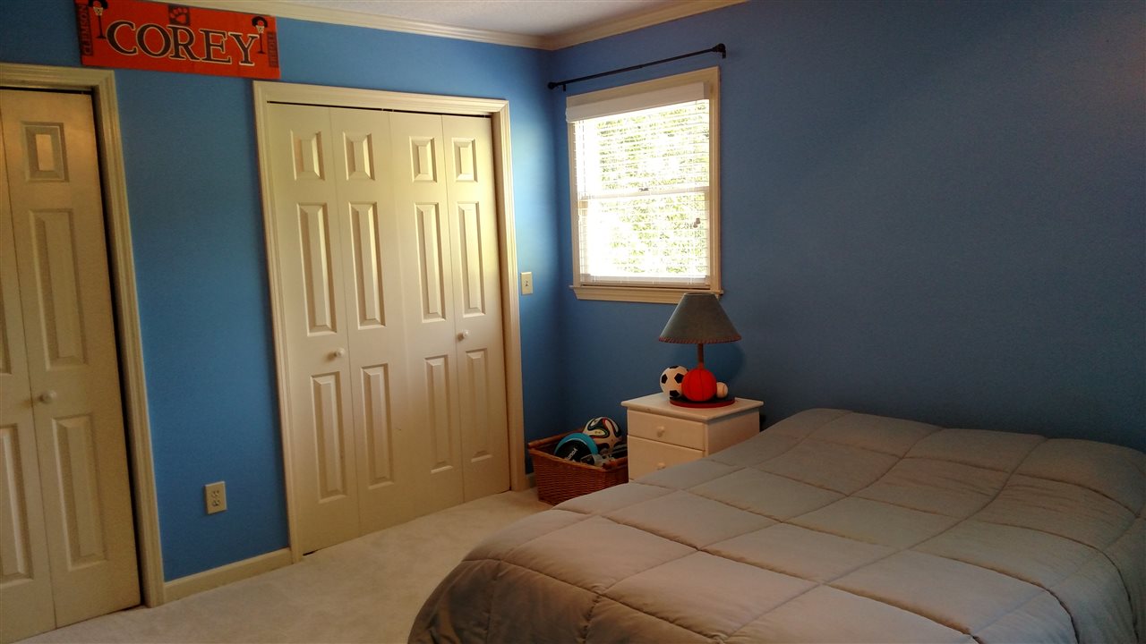 103 Prince Ranier Drive Clemson, SC 29631 - Photo 10 of 24 Gallery Image 10