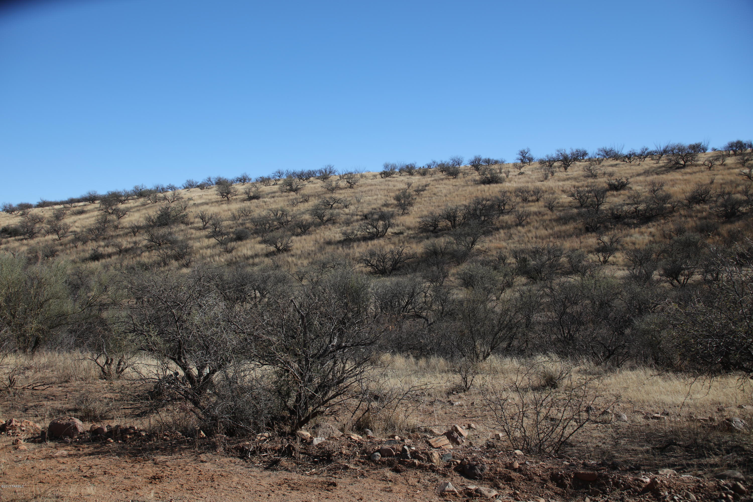 336 Camino Kennedy Rio Rico, AZ 85648 - Photo 16 of 29