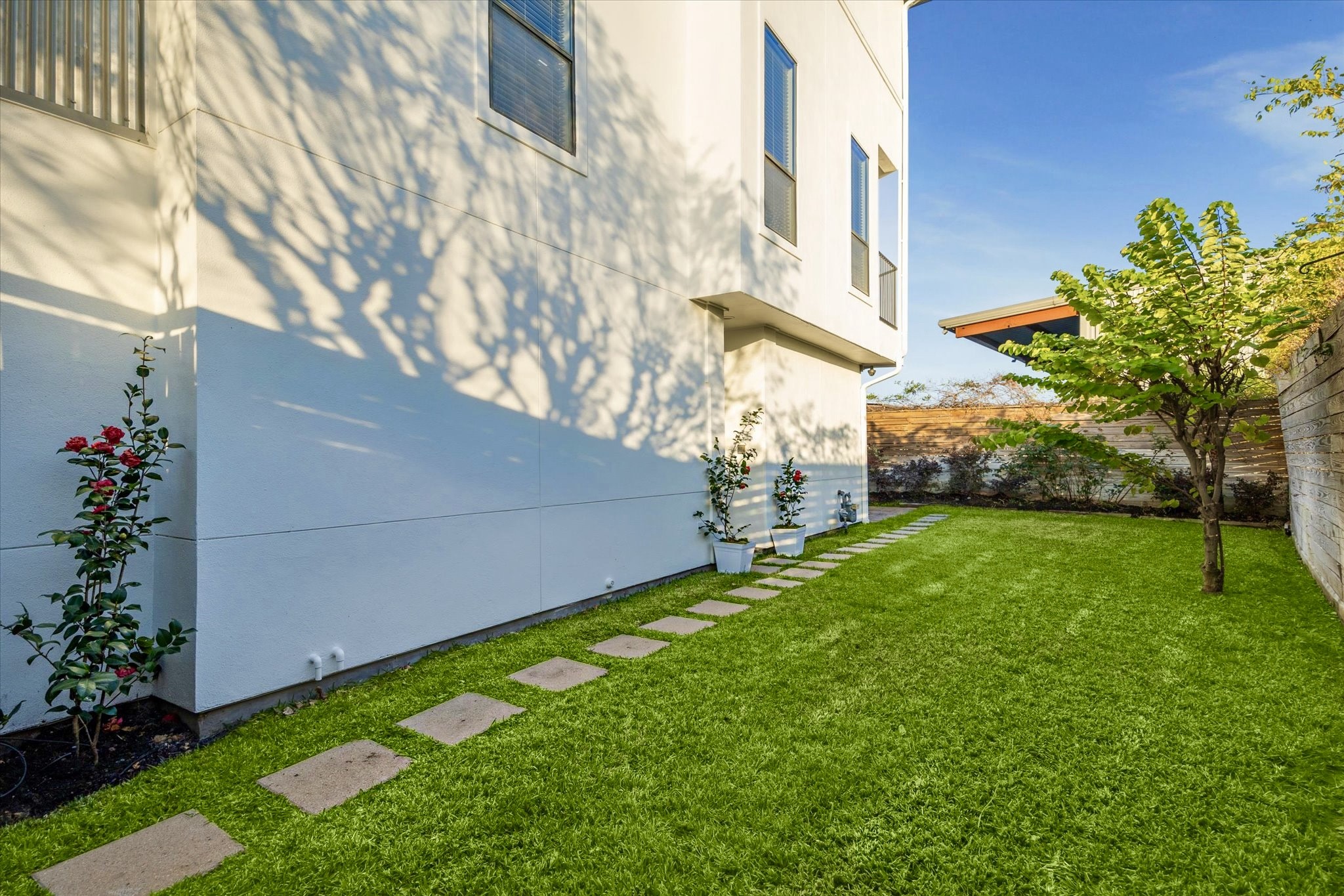 1819 Dart Street Houston, TX 77007 - Photo 6 of 30 Guests enjoy the beautiful camilla plants on the walk to your front door