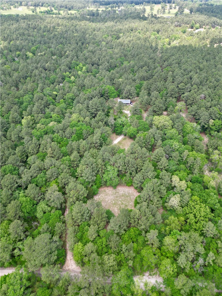 7481 County Road 232 Richards, TX 77873 - Photo 1 of 1 a view of a forest with a street