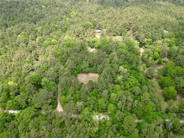 a view of a forest with a houses