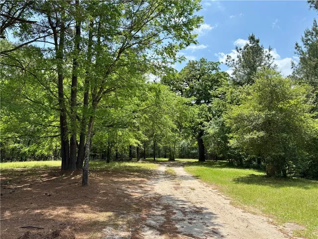 a view of a yard with a tree