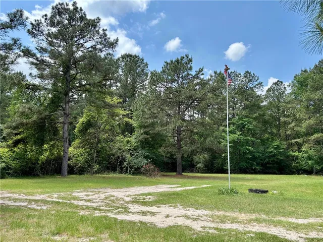 a view of a tall trees in a yard