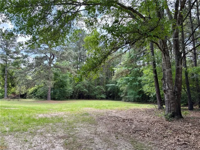 a view of a yard with a trees