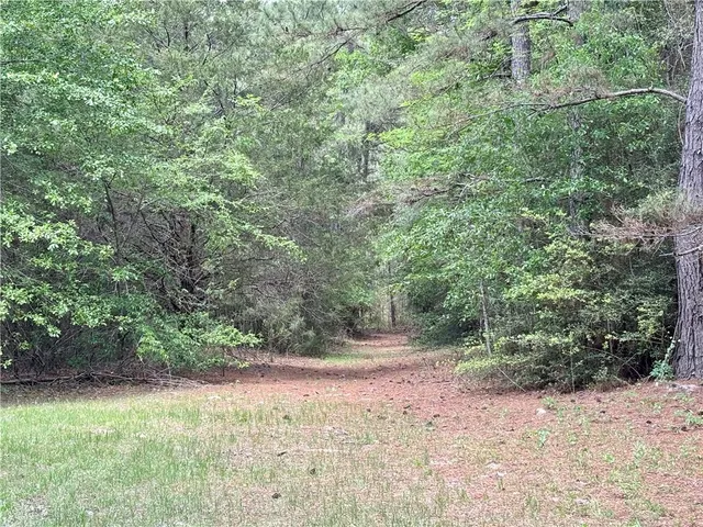 a view of backyard with outdoor space