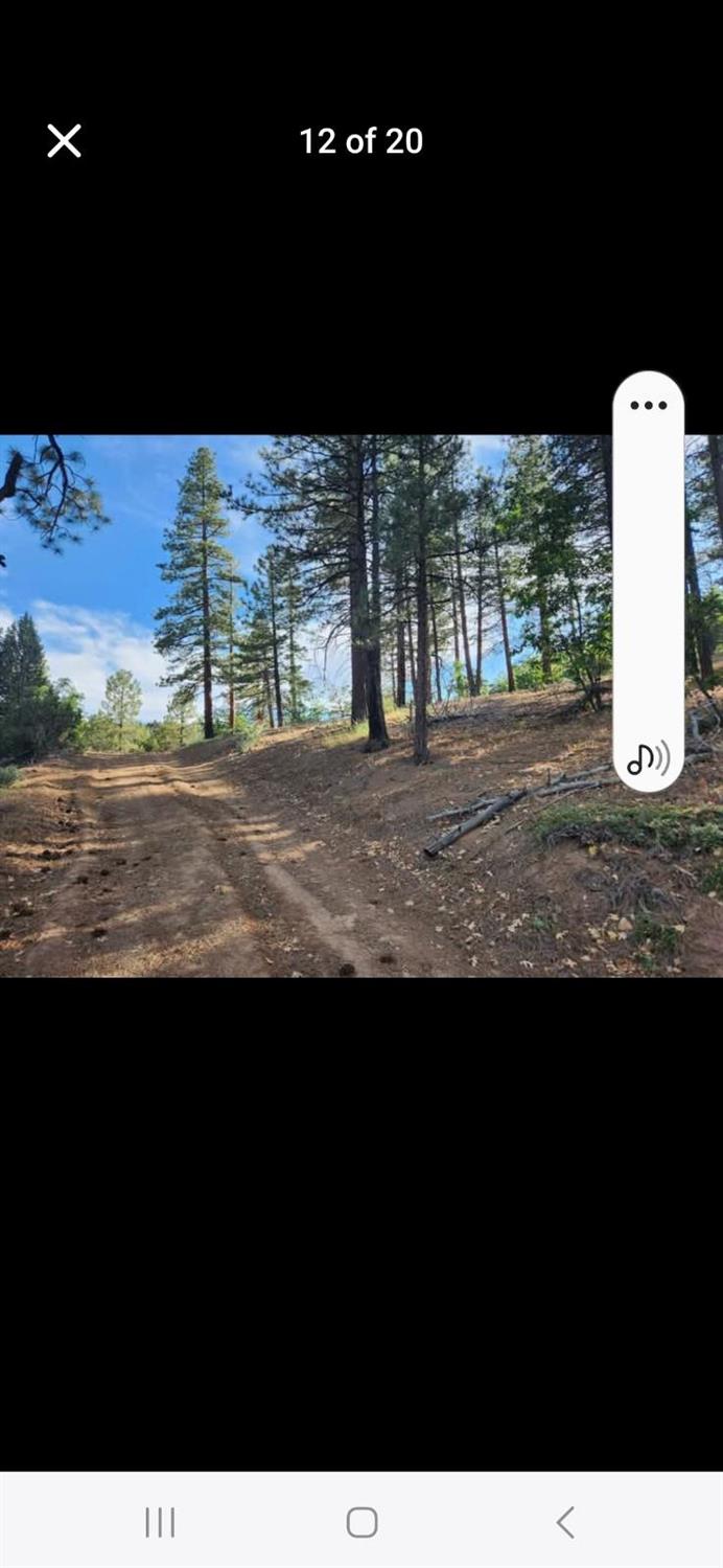 0 Cheney Creek Road Susanville, CA 96130 - Photo 3 of 18 a view of a city