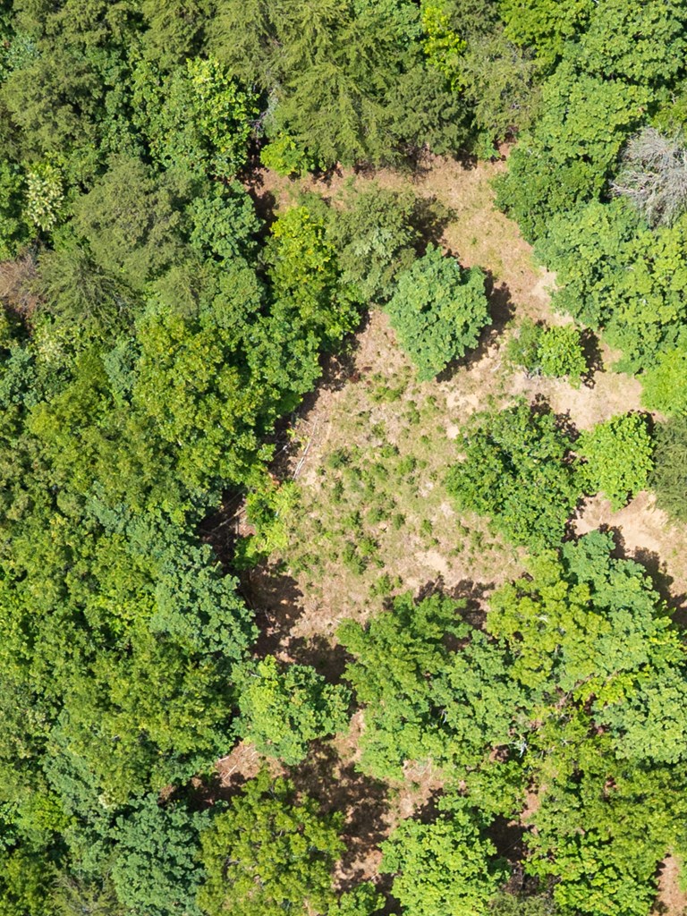 1 Stormy Ridge Brasstown, NC 28902 - Photo 20 of 20