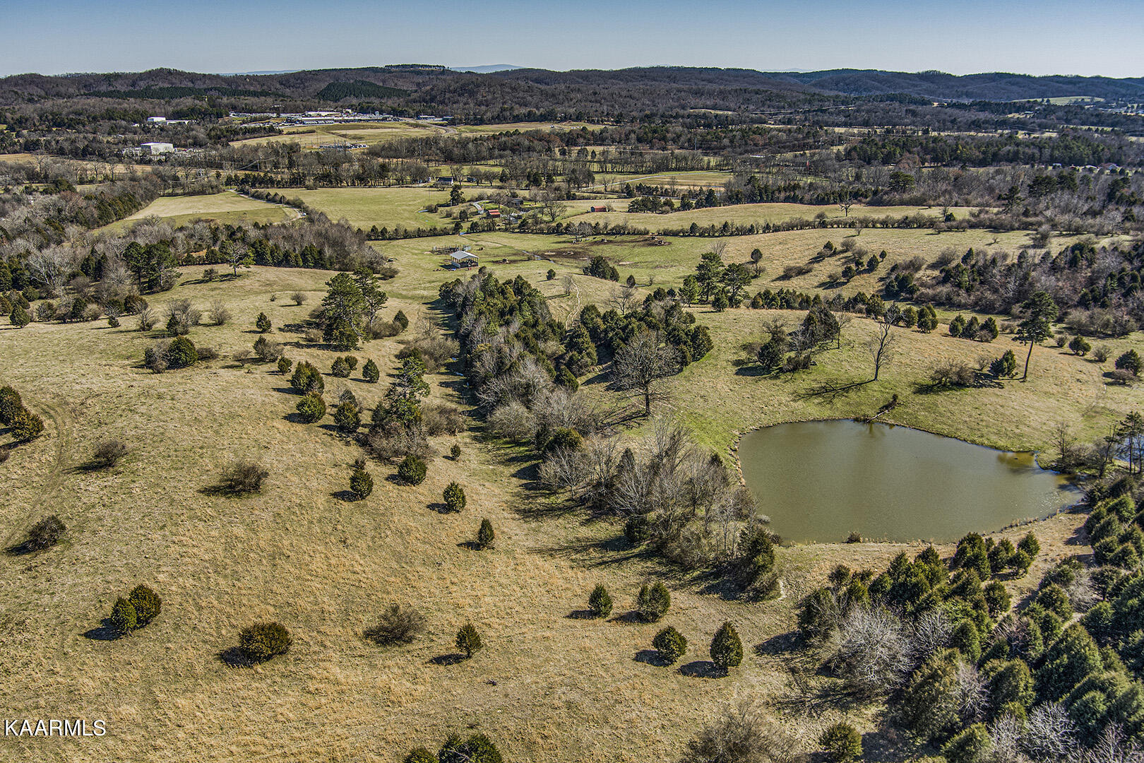 Goodfield Road Decatur, TN 37322 - Photo 8 of 21 11_GoodfieldRoad_LandTract_CentralPastur