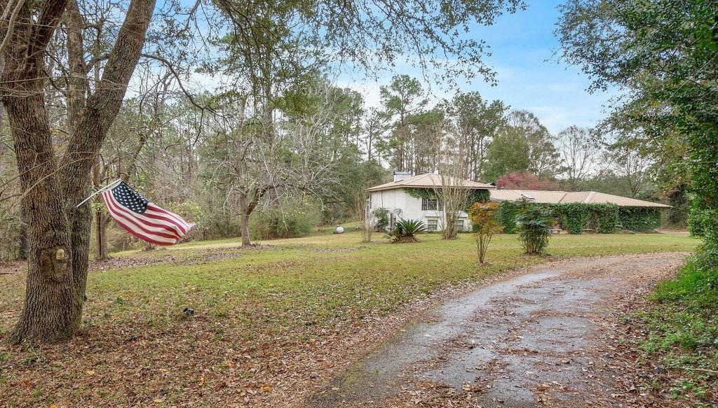 16419 Toney Road Folsom, LA 70437 - Photo 3 of 33 Gallery Image 3