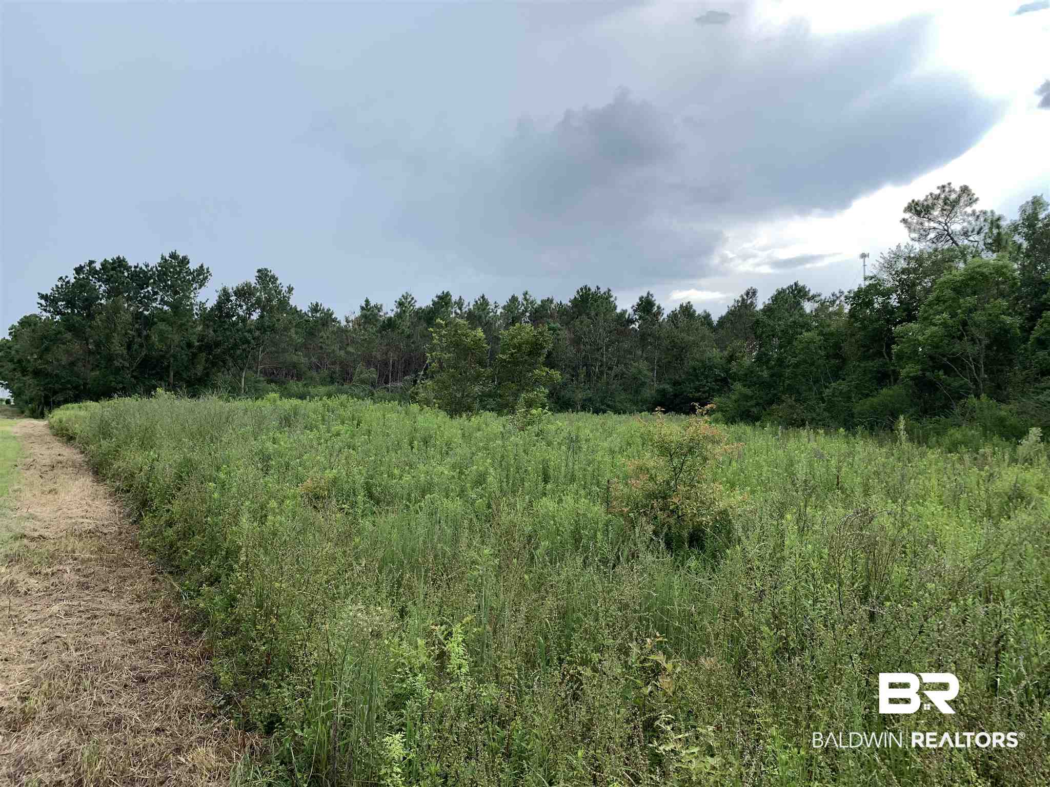 0 Mateja Road Robertsdale, AL 36567 - Photo 7 of 18 Back Field