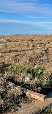 1 Vac/ave C10/vic 65 Stw Lancaster Ca  