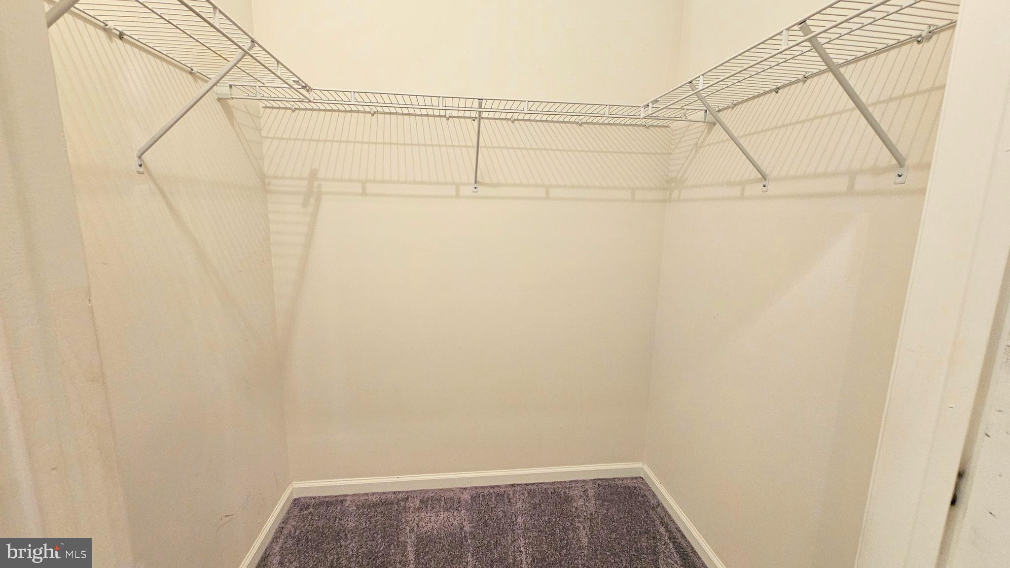 1309 Colts, Unit D Lawrence Township, NJ 08648 - Photo 13 of 33 Primary bedroom's walk-in closet