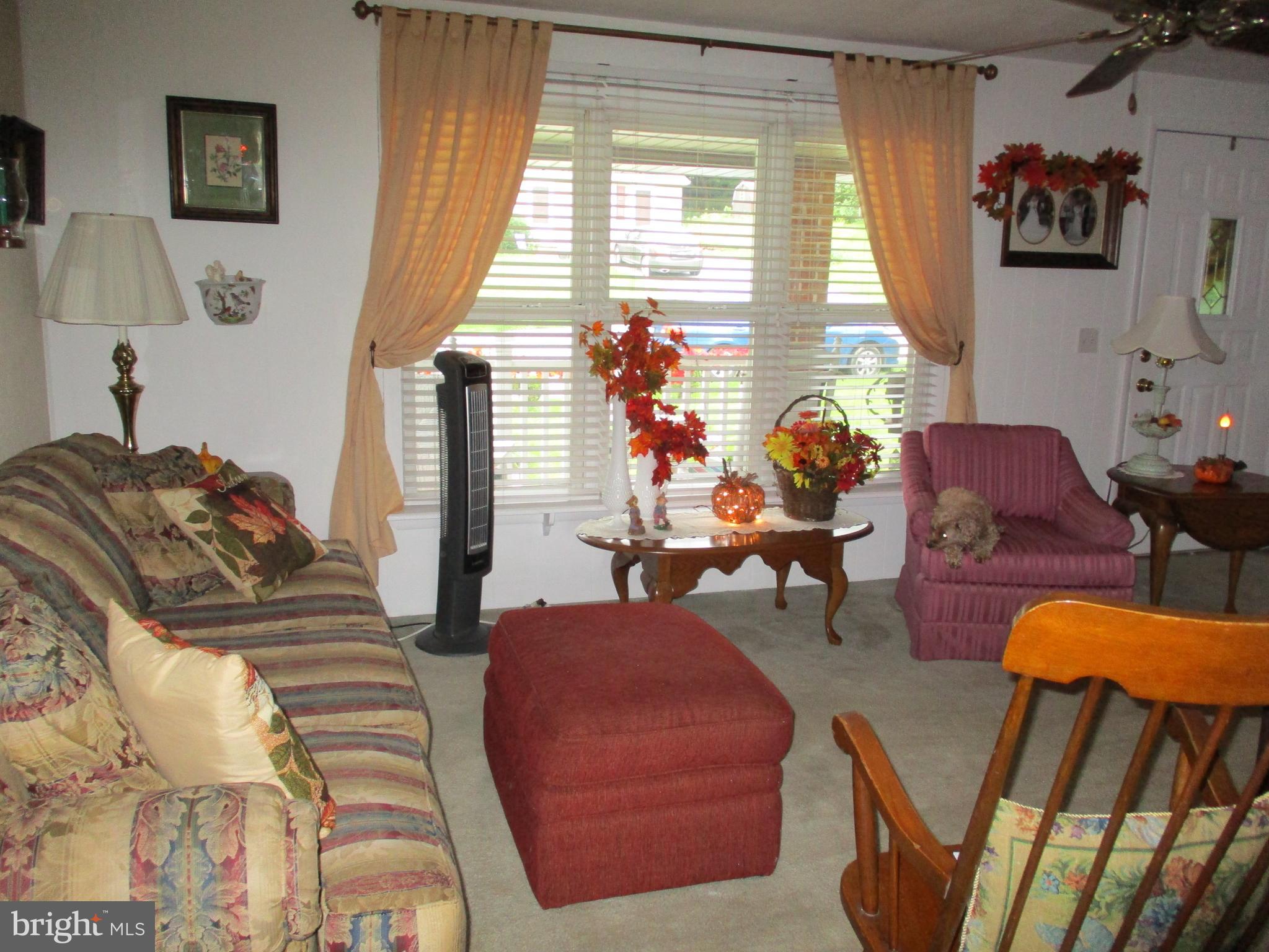 21 Locust Street Spring Grove, PA 17362 - Photo 16 of 58 Living room with plenty of sunlight