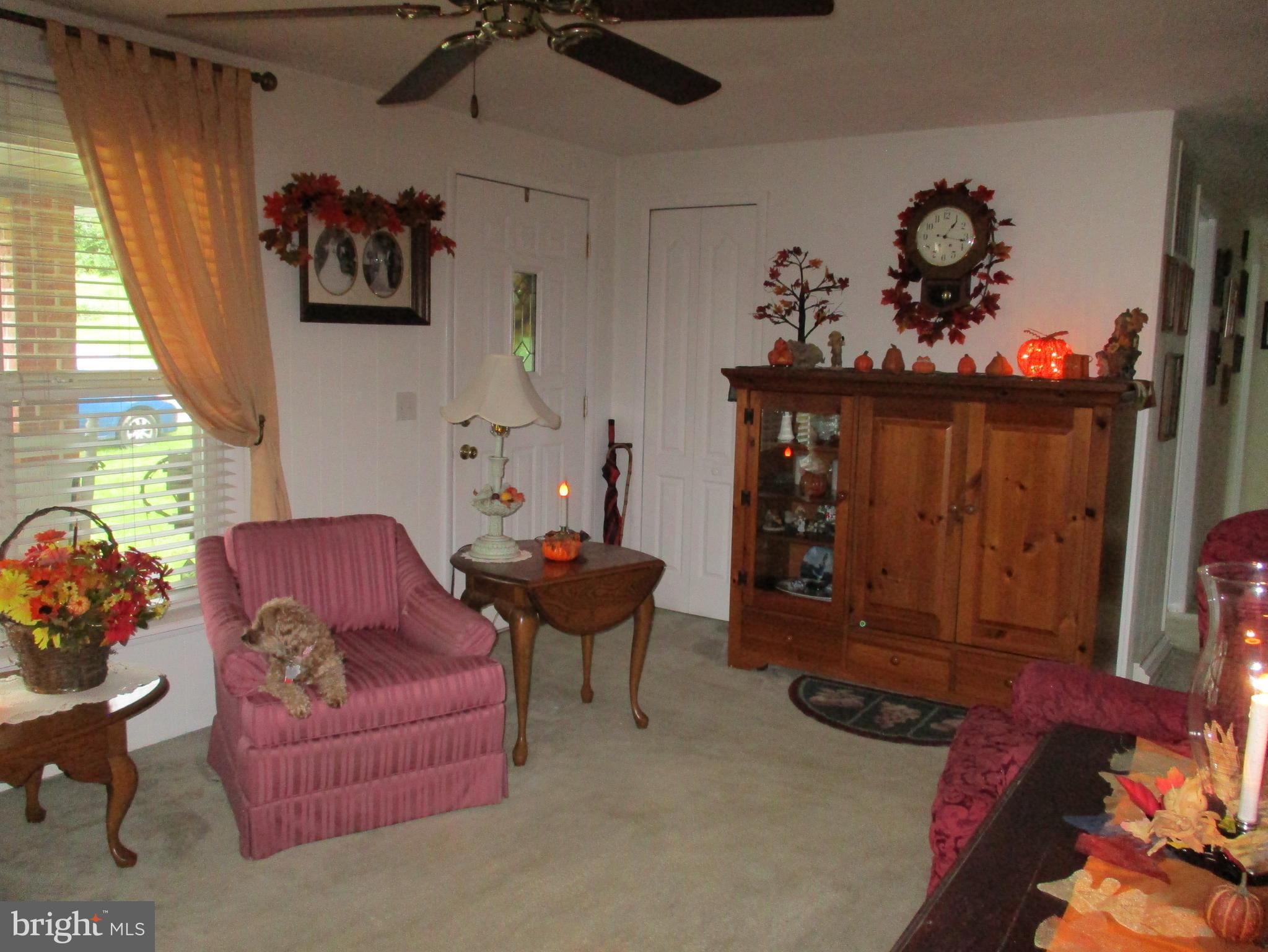 21 Locust Street Spring Grove, PA 17362 - Photo 17 of 58 Spacious living room