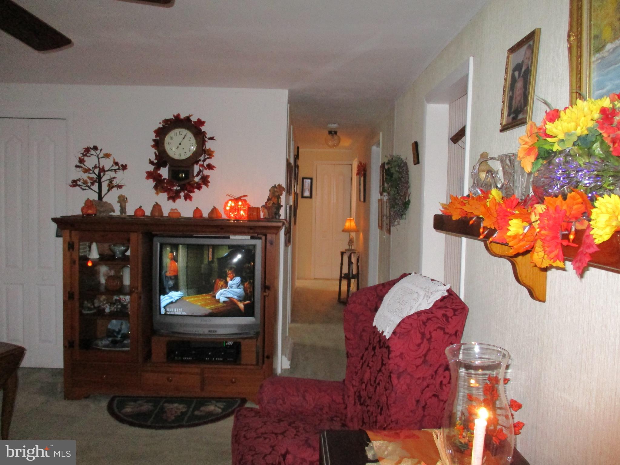 21 Locust Street Spring Grove, PA 17362 - Photo 18 of 58 Living Room