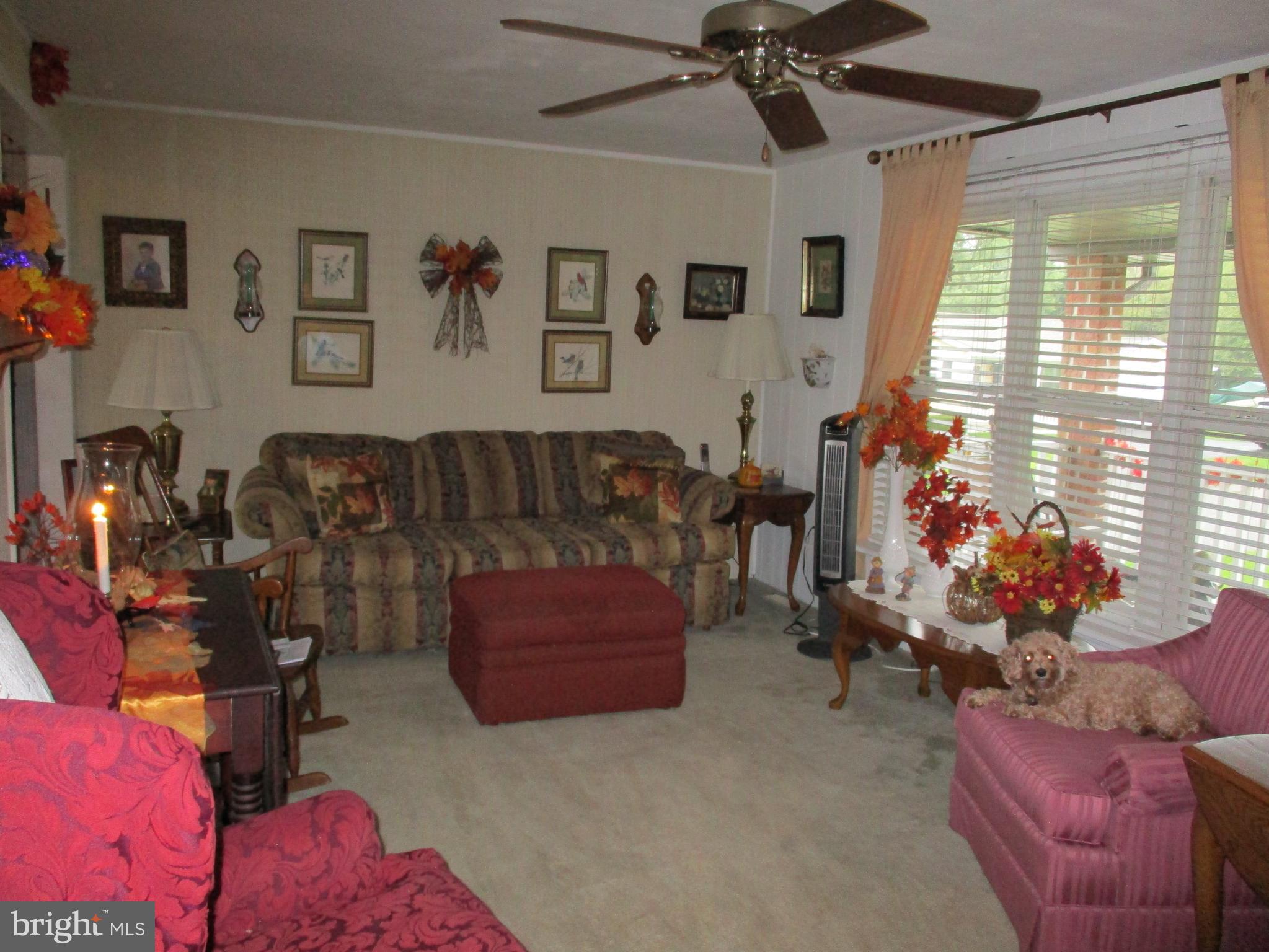21 Locust Street Spring Grove, PA 17362 - Photo 19 of 58 Living room