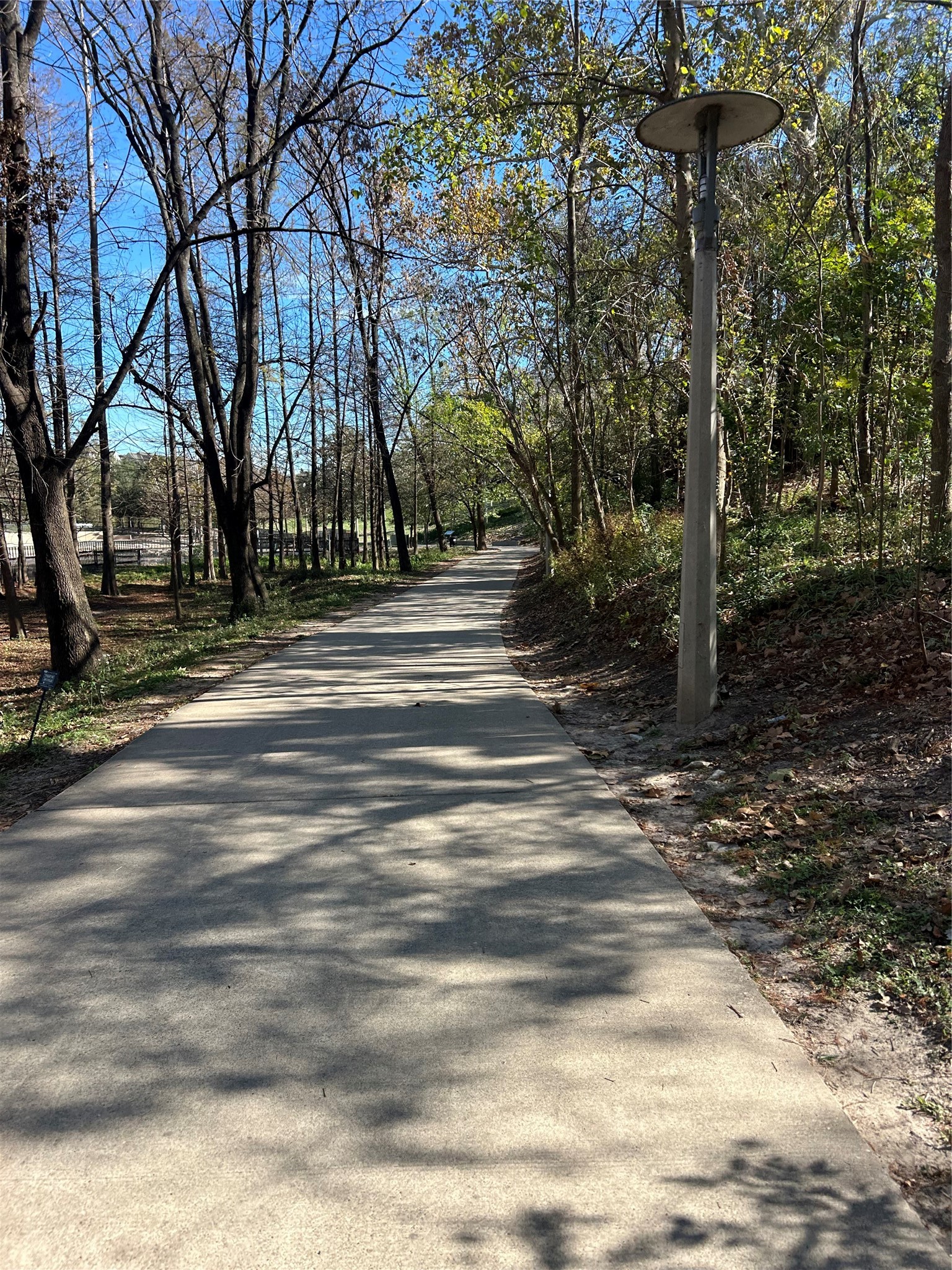 1004 Stanford Street, Unit A Houston, TX 77019 - Photo 38 of 38 walking distance to Buffalo Bayou Park